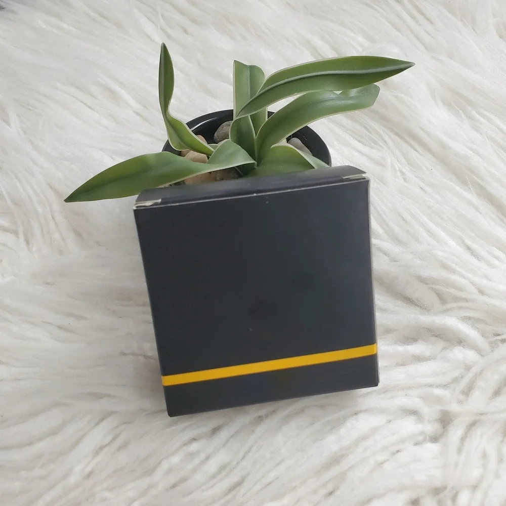 tash cosmetics